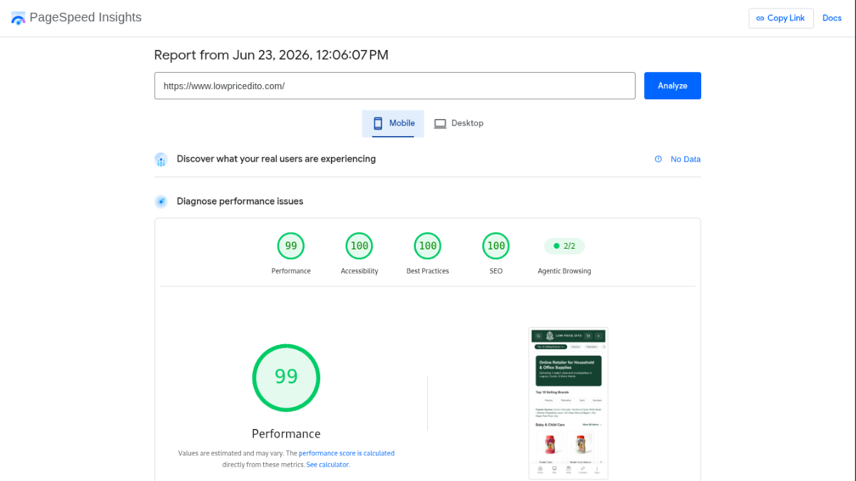 Google Pagespeed Insight mobile result 99 100 100 100