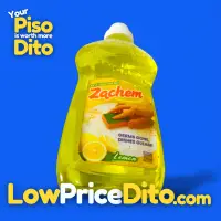 Zachem Antibacterial Dishwashing Liquid 250ml Lemon Scent - View 1
