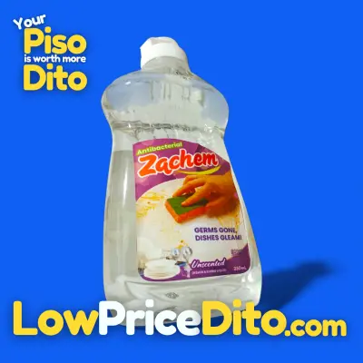 Zachem Dishwashing Liquid | Germs Gone, Dishes Gleam